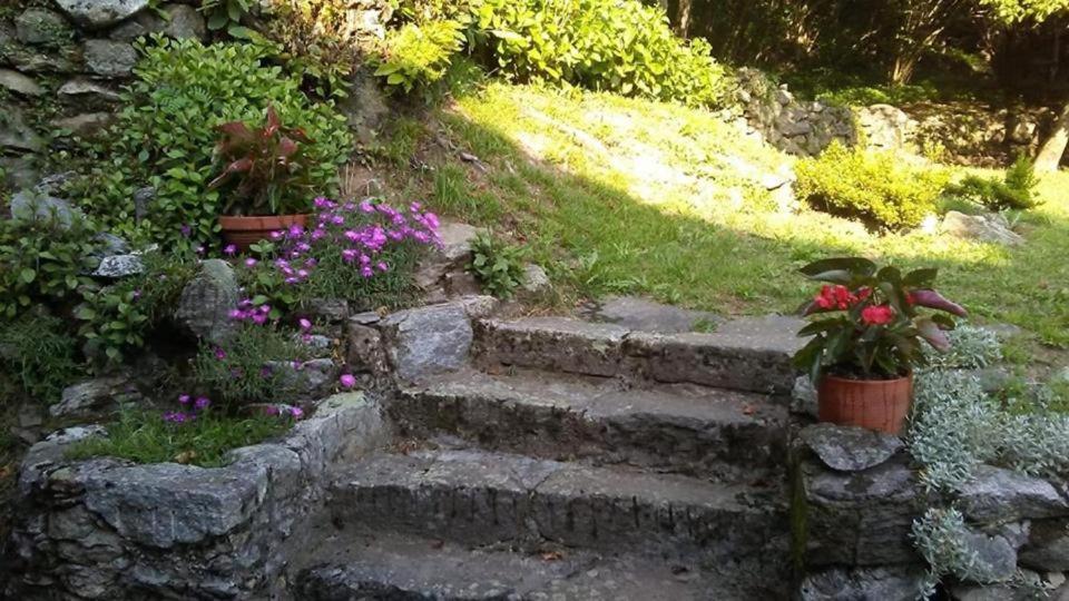 Casa Zizi Villa Crodo Eksteriør bilde