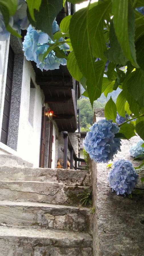 Casa Zizi Villa Crodo Eksteriør bilde